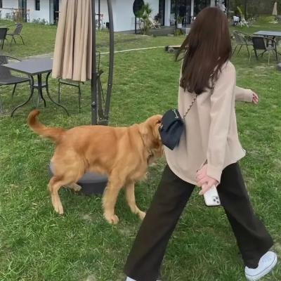 不良行为第一季