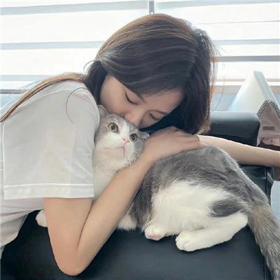 兔子陷阱